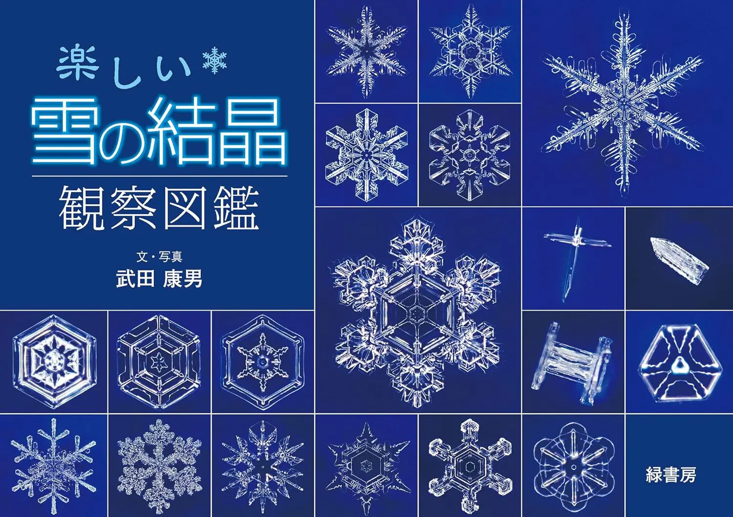 楽しい雪の結晶 観察図鑑