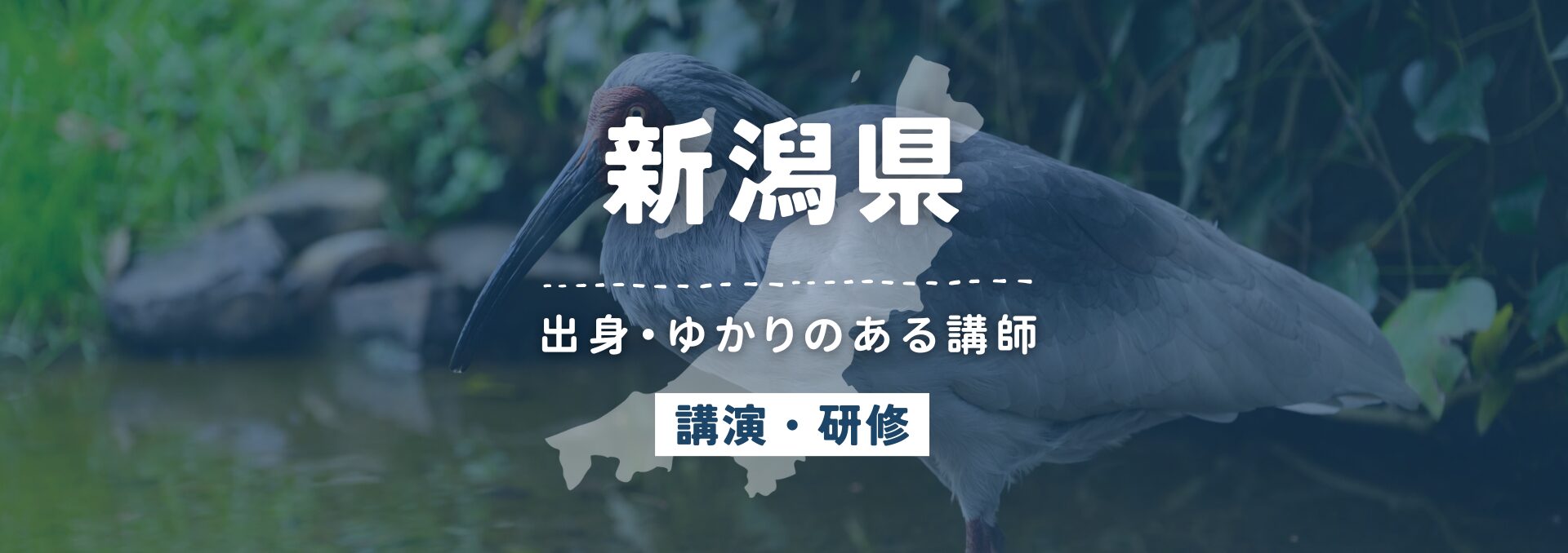 新潟県